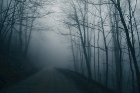 雾气森林公路