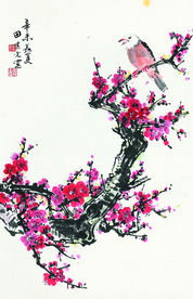 福寿白头