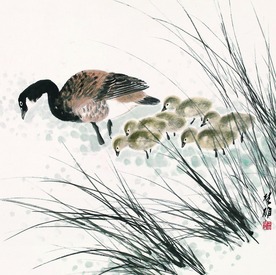鸭子
