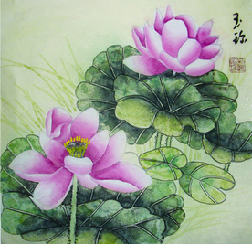 荷花图