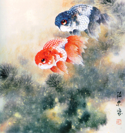金鱼图