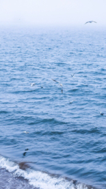 湖江海