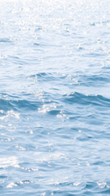 湖江海