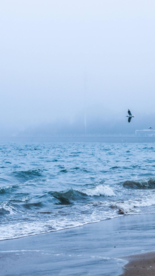湖江海