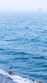 湖江海