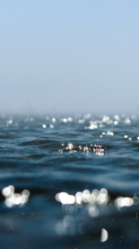 湖江海