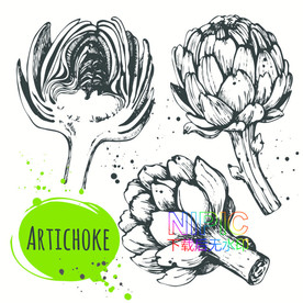 花苞eps素材文件