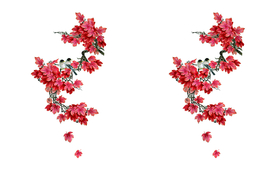 定位花