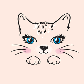 猫