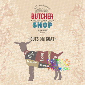 动物eps素材文件