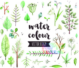 热带树叶eps模版