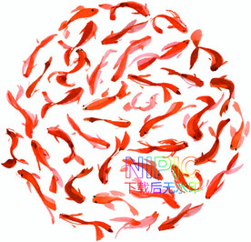 印花eps素材文件