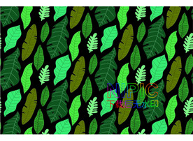 热带树叶eps图片