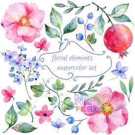 鲜花植物eps图形