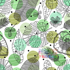 植物叶子eps模版