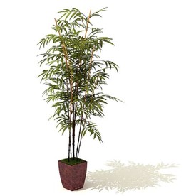 小琴丝竹