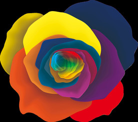 彩色玫瑰 唯美 素材  花卉