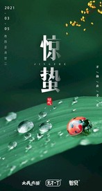 惊蛰