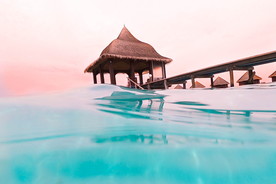 棕色 棚屋 码头