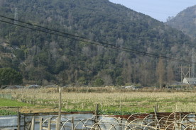 田野与大山