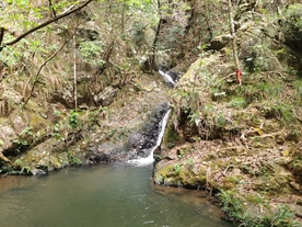 森林活水源泉