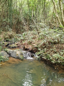 山林 溪水
