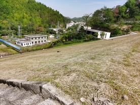 益塘水库草地 森林