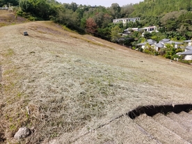 益塘水库山坡草地