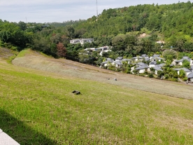 益塘水库 大坝 草地 自然森林