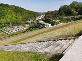 益塘风景区草地