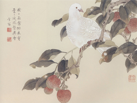 陈之佛国画 荔枝白鸽