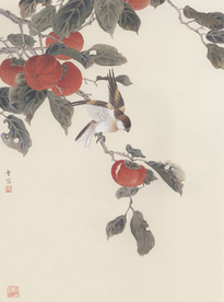 陈之佛国画  红柿小鸟