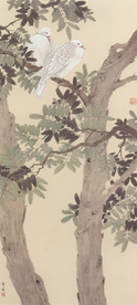 陈之佛国画 槐荫双鸠