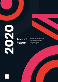 2020-2021矢量年报模板