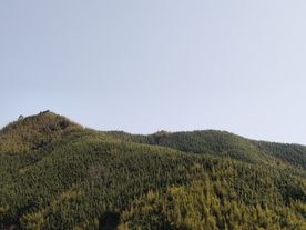 高山