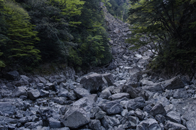 山