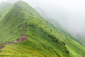 山