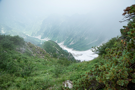山