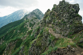 山