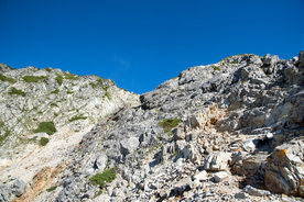 山