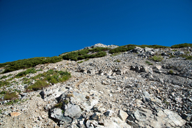 山