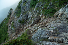 山