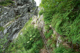 山