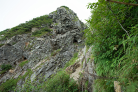 山