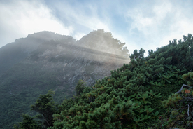山