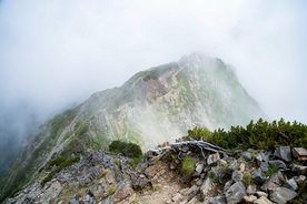 山