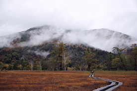 山