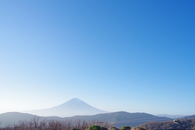 山