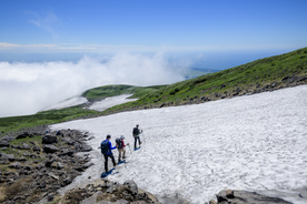 山