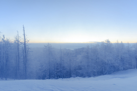 山